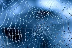 web